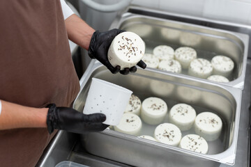 Filling molds for the production of soft cheese. The cheese blanks are soaked in brine.