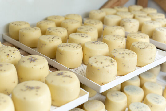 Artisan cheese stored on shelves and left to ripen in a private cheese factory.