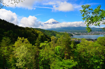 Mt.Fuj in spring_1