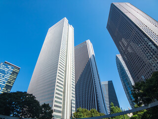 Fototapeta premium 新宿副都心の都市風景