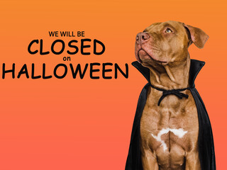 Signboard with the inscription We will be closed on Halloween