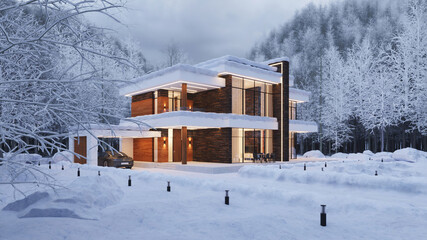 3D visualization of a modern house in the forest. Modern architecture - obrazy, fototapety, plakaty