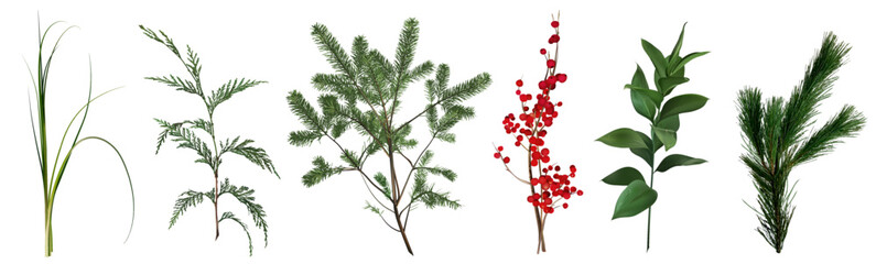 Naklejka premium Mix of seasonal herbs and plants vector collection. Christmas winter greenery