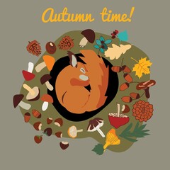  illustration with sleeping squirrel