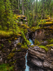 maligne canyon river in the forest