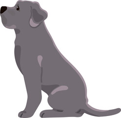 Simple and adorable Great Dane illustration sitting in side view flat colored