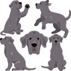 Simple and adorable Great Dane illustrations flat colored