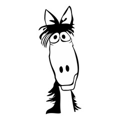 a horse with a beautiful mane