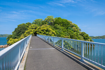 イマリンビーチ近くの竹ノ島