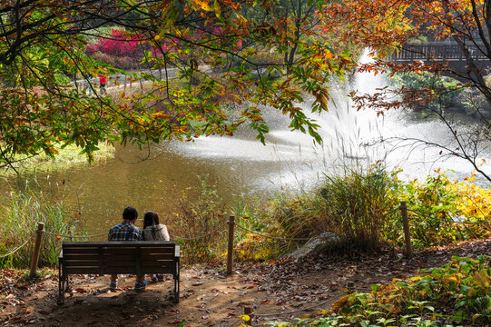 Autumn day date couple on forest bench