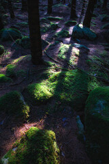 Gra świateł © marecki79