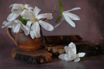Fototapeta na wymiar White magnolia in brown earthenware mug that stands on a wooden stand.