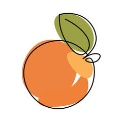 Vector image of an orange or tangerine in one line with a green leaf.