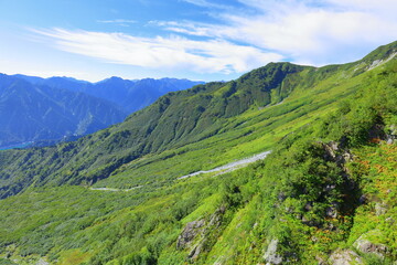 Fototapeta na wymiar Nature, Meadow, Mt. Aizu-Asahi