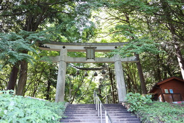 宝登山神社奥宮の鳥居