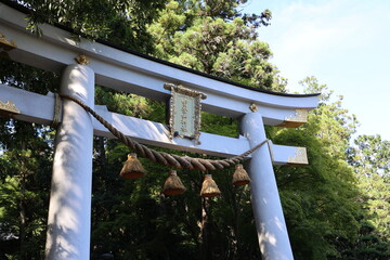 宝登山神社の鳥居