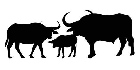 Vector image of an buffalo on white background.vector isolated buffalo with black color design illustration
