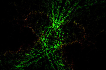 Abstract background shape design template, futuristic background, art shape pattern, Multicolour wall background. colourful textured. Transparent lines and spots. Texture backdrop. Abstract background