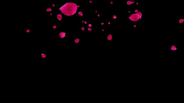 Falling Black Rose Petals