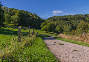 schöner Wanderweg im Nationalpark