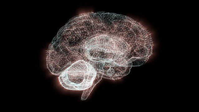 Human Brain with Neurons Firing and Rotating on Black Background.