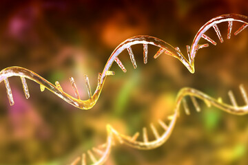 Molecule of mRNA, 3D illustration - obrazy, fototapety, plakaty