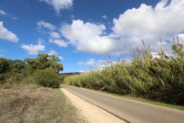 Highway in Israel from north to south
