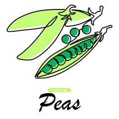 Fototapeta premium Green peas. One line vegetables collection. Natural pod plant cooking raw ingredient. Healthy vegan nutrition. Vitamin fresh vegetarian product. Outline element and text. Vector illustration