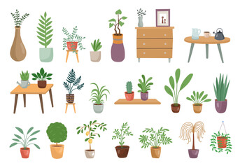 Home plants. House urban decor. Succulent garden. Modern hygge jungle. Indoor interior objects set. Flowers in trendy pots. Houseplants on tables and shelves. Vector flat illustration