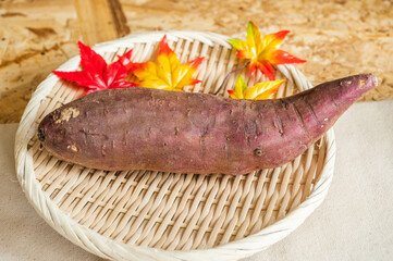 秋の味覚　紅こがね