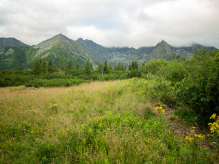 landscape in the mountains