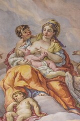 Fototapeta na wymiar Woman breastfeeding her young one