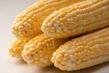 Yellow corn isolated on white background. Copyspace.