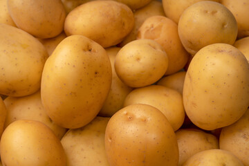 A group of fresh tasty potato as  background.