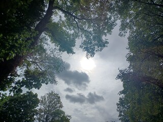 Sonne zwischen Wolken und Bäumen