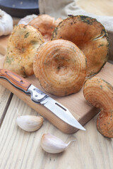 Setas de temporada, n&iacute;scalos reci&eacute;n recolectados sobre una tabla de cortar, Lactarius deliciosus. 