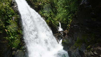 waterfall in the forest