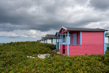 Pastel-colored beach huts at Skanor beach, Scania county, south of Sweden. 