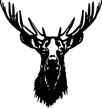 Head of Elk, forest animal isolated 