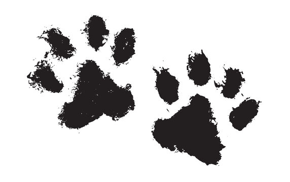 Ink Dog Paw, Cat Paw, grunge style, Vector.	

