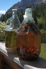 Artisanal brandy (grappa) with mountain aromas - 533188721