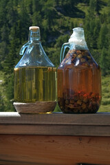 Artisanal brandy (grappa) with mountain aromas - 533188741
