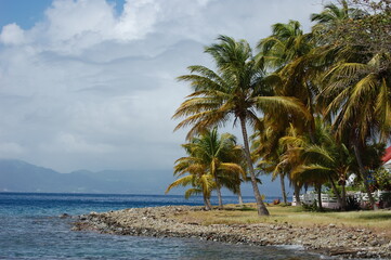 Fototapeta na wymiar baie en Guadeloupe