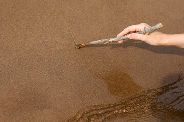 Middle-aged woman writing on the wet sand on the beach near water. Human hand with wooden stick scratching a line