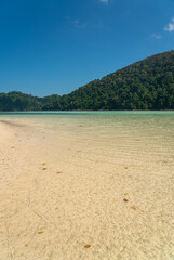 Beautiful Mai Ngam beach in Surin island national park, Pang Nga, Thailand