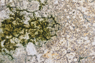 Cracks of old cement floor and moss, abstract nature background