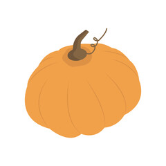 Orange pumpkin on white background. Autumn