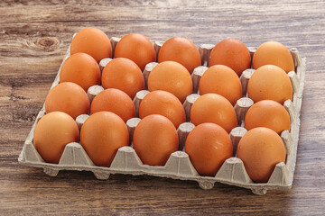 Organic chicken egg in the carton