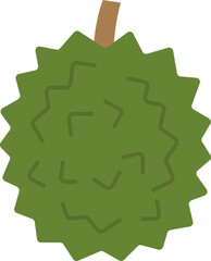 durain fresh fruit nature food 