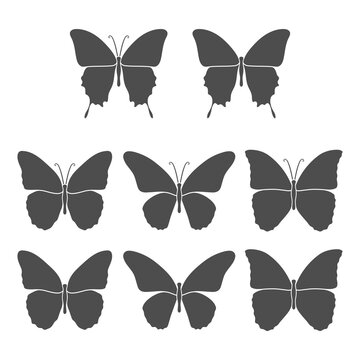 Set of black and white illustrations with a butterfly. Isolated vector objects on a white background.
